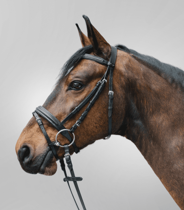 Likit - Friandise pour chevaux pierre myrtille 250 g
