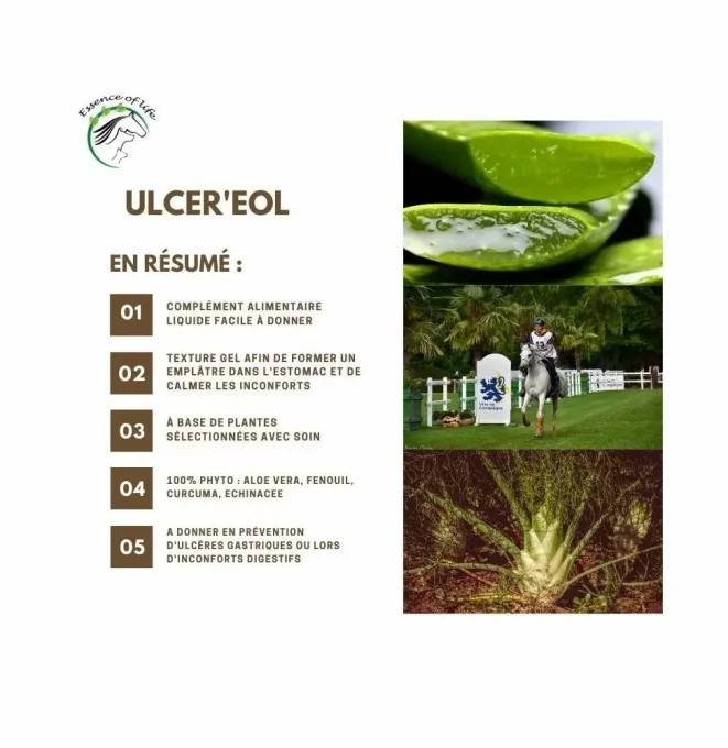 Ulcer'eol - Aliment complémentaire - Troubles digestifs, apaise les muqueuses